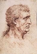 LEONARDO da Vinci Profile of a man USA oil painting artist